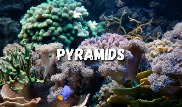 Explore the mystical Pyramids dive site in Amed